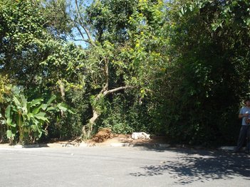 land_lot em Rua Dona Mara, Vila de São Fernando - Cotia - SP