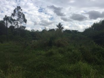 commercial_building em Theodomiro Porto Da Fonseca, Walderez - Sapucaia do Sul - RS