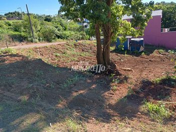 land_lot em Santo Antônio, Santo Antônio - Concórdia - SC