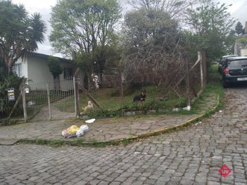 land_lot em Rua Sapucaia, São Leopoldo - Caxias do Sul - RS