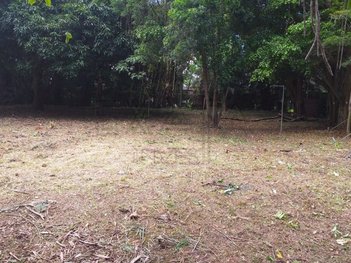 land_lot em Rua Doutor Fernando Jorge Mendes, Chácara Flora - São Paulo - SP