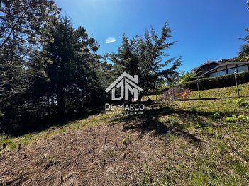 land_lot em Avenida Alto da Boa Vista, Alto da Boa Vista - Campos do Jordão - SP