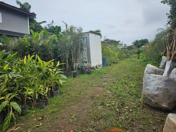 land_lot em Das Figueiras, Balneário Praia do Pernambuco - Guarujá - SP