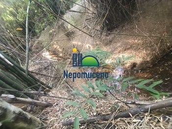 agricultural em Rua Nossa Senhora Aparecida, Ribeirão Vermelho - Ribeirão Vermelho - MG