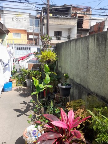 house em Rua Antônio José Nurchis, Vila Yolanda - Osasco - SP