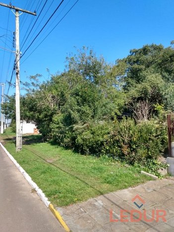 land_lot em Rua Santos Dumont, Centro - São Francisco de Paula - RS