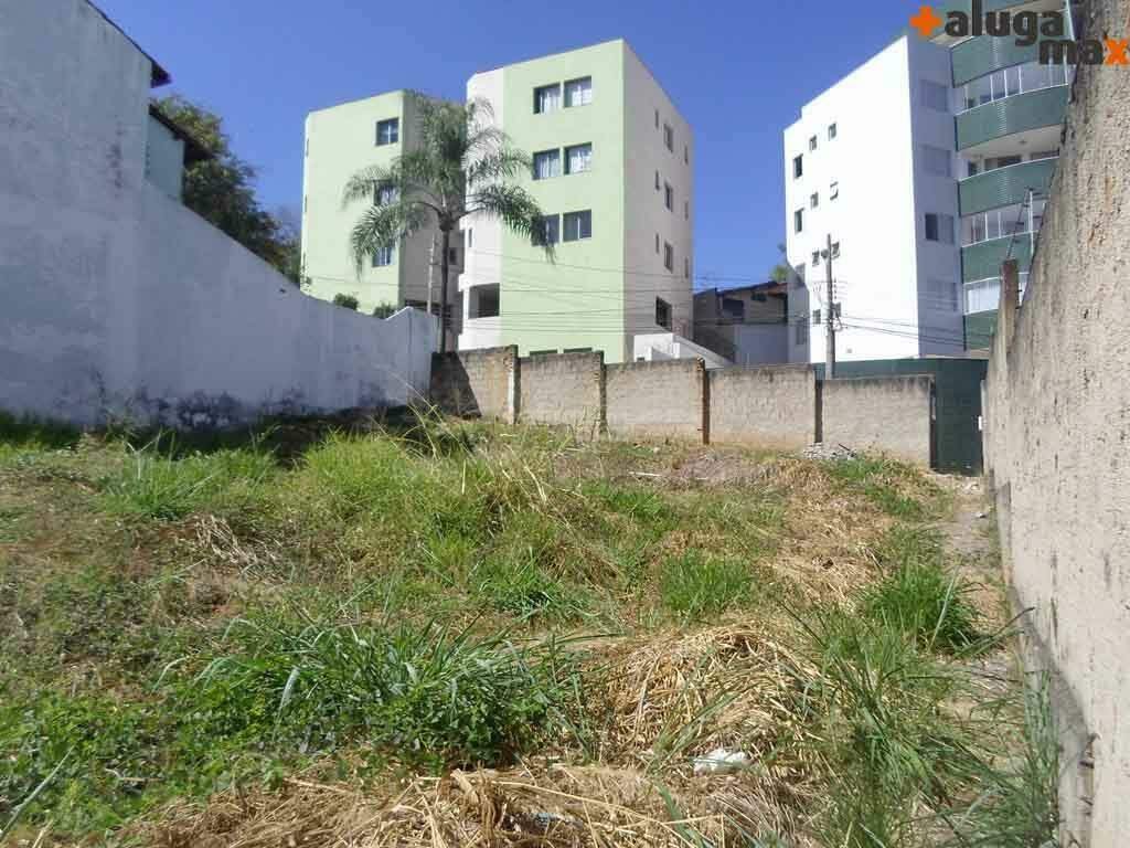 lote 8