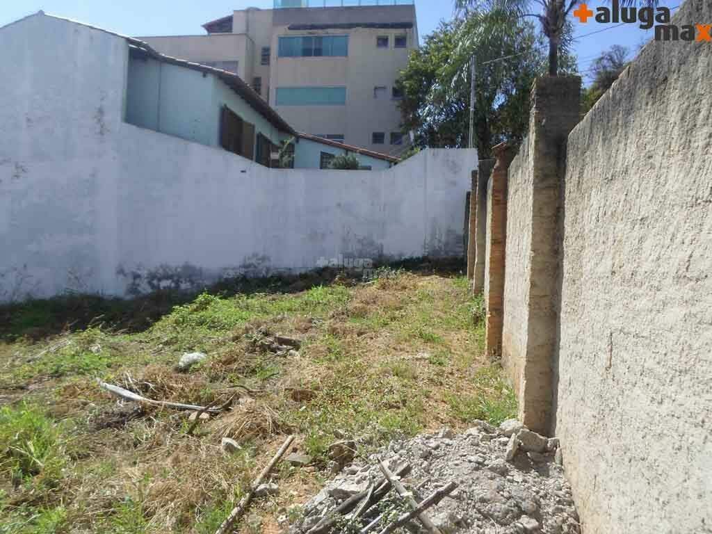 lote 1