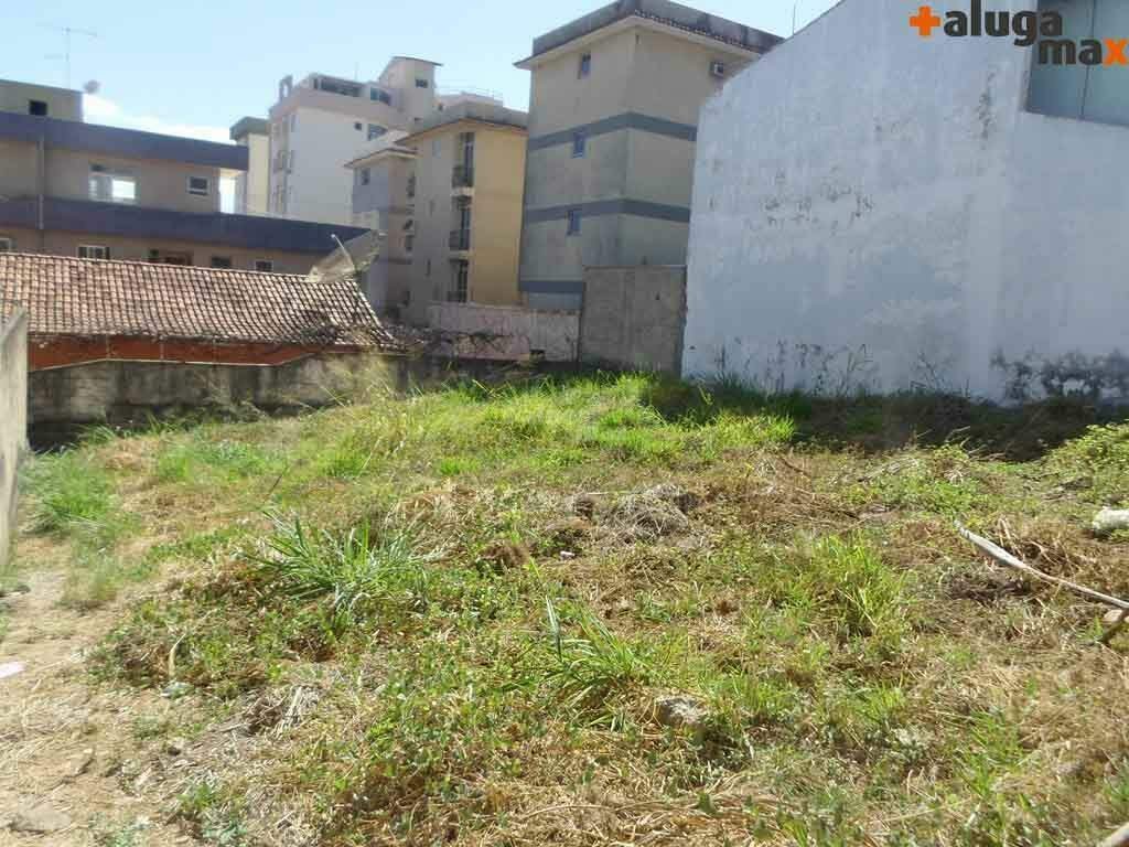 lote 2