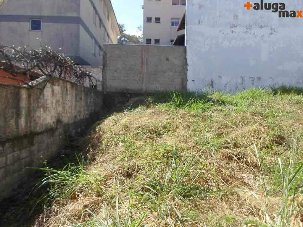 lote 3