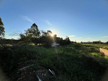 land_lot em Área Rural, Área Rural de Montenegro - Montenegro - RS