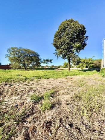 commercial_land_lot em Rua José Arley Magri, Gleba Patrimonio - Sarandi - PR