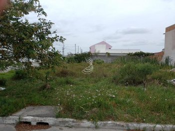 land_lot em Um, Areal - Pelotas - RS