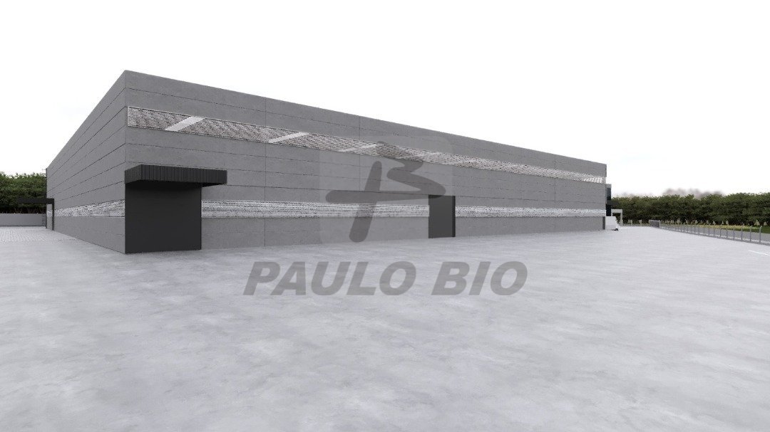 WhatsApp Image 2025-07-30 at 19.39