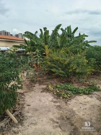 land_lot em Rua Presidente Eurico Gaspar Dutra, Parque Hippolyto - Limeira - SP