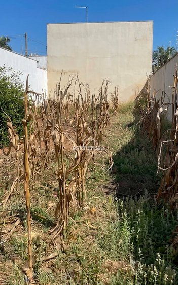 land_lot em Rua Particular, Jardim São Paulo - Rio Claro - SP