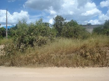 land_lot em Avenida Brigadeiro Eduardo Gomes, Quinta das Palmeiras - Divinópolis - MG