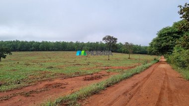 agricultural em Avenida das Palmeiras, Centro - Bom Despacho - MG