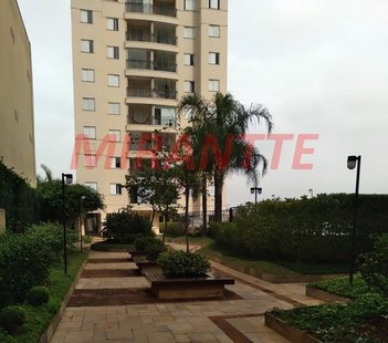 apartment em Rua Maria Cândida, Carandiru - São Paulo - SP