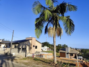 land_lot em Rua Manoel João Machado, Vila São José - Criciúma - SC