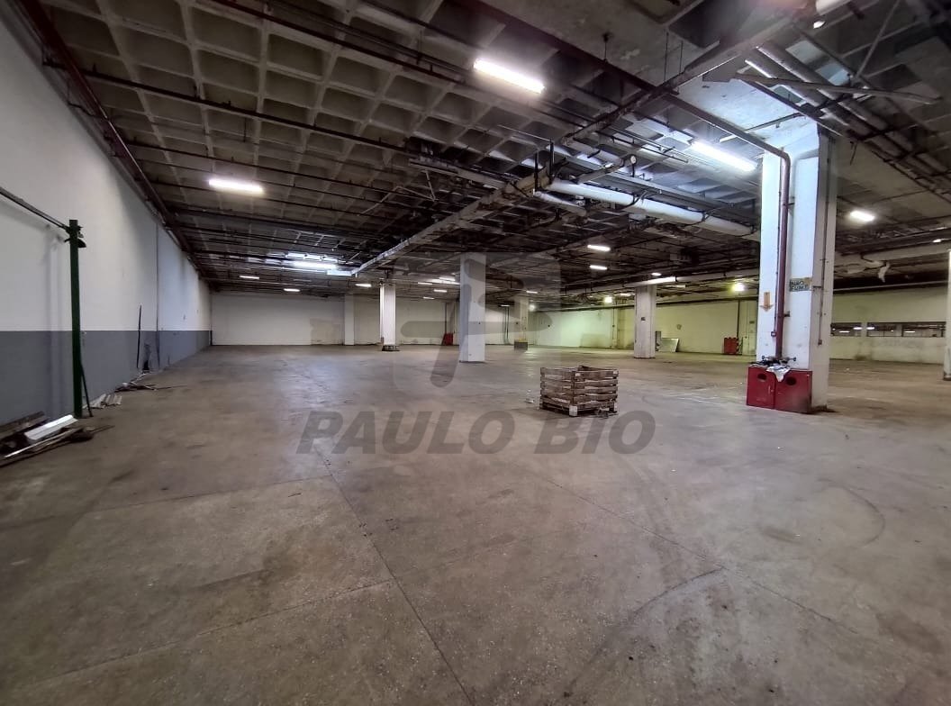 WhatsApp Image 2024-05-09 at 11.28