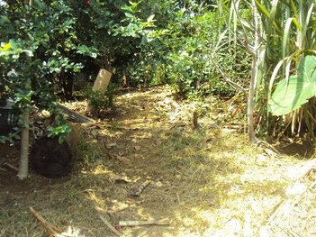 land_lot em Rua Mungo Park, Parque Boturussu - São Paulo - SP