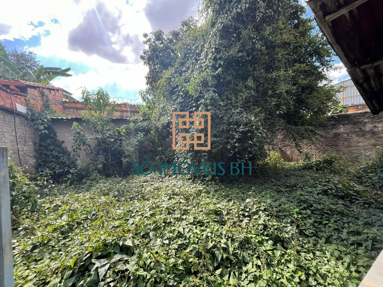 50b80c5e-f232-43db-acf7-c533b5b5aaf7