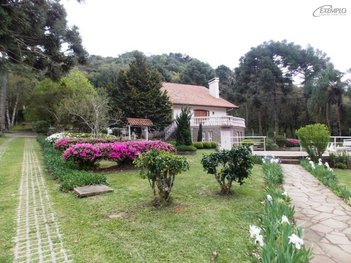 house em Rua Ari Koppe, Flores da Cunha - Flores da Cunha - RS