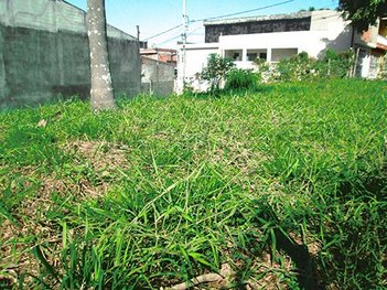 land_lot em Rua da Floresta, Furnas - São Paulo - SP