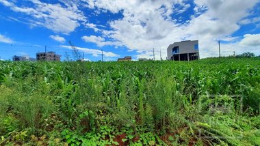 land_lot em Rua E, Marau - Marau - RS