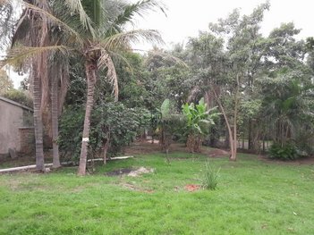 agricultural em Rodovia Samuel de Castro Neves, São Jorge - Piracicaba - SP