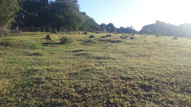 land_lot em Rodovia Santos Dumont, Jardim Nova Abolição - Campinas - SP