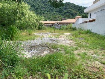 land_lot em Rua dos Lírios, Lagoinha - Ubatuba - SP