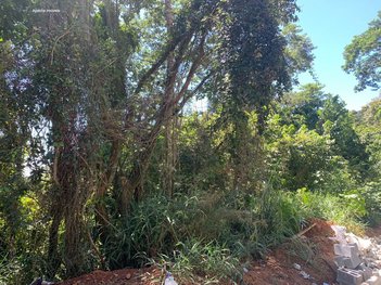 land_lot em Rua Vereda da Mata, Veredas das Geraes - Nova Lima - MG