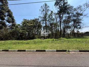 land_lot em Rua Noel Rosa, Jardim Indaiá - Embu das Artes - SP