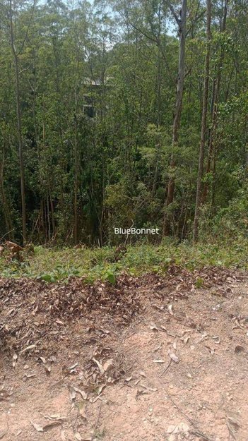 land_lot em Rodovia Anhanguera, Loteamento Capital Ville - Jundiaí - SP