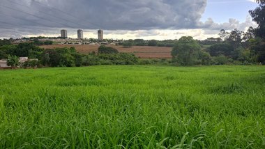 land_lot em Rua da Mata, Quinta da Alvorada - Ribeirão Preto - SP