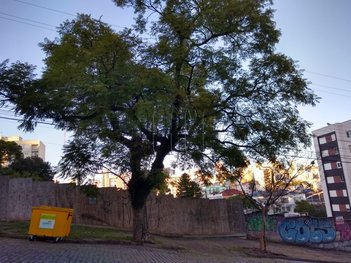 land_lot em Rua Bento Gonçalves, Centro - Caxias do Sul - RS
