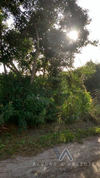 land_lot em Lisboa, Laranjal - Pelotas - RS