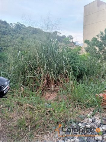 land_lot em Estrada Curumau, Taquara - Rio de Janeiro - RJ