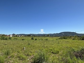 land_lot em Avenida Rodolfo Behr, Camobi - Santa Maria - RS