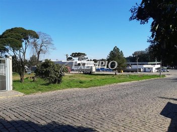 land_lot em Avenida Itália, São Pelegrino - Caxias do Sul - RS