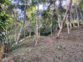 land_lot em Avenida Bougainvilles, Itaipava - Petrópolis - RJ
