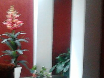 house em Rua Emiliano Pedro Gonçalves, Cidade das Flores - Osasco - SP