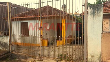 land_lot em Rua Conchilia, Vila Albertina - São Paulo - SP