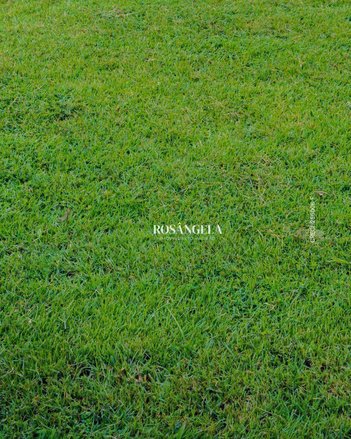 land_lot em Avenida Francisco Jalles Neto, Parque Residencial Damha - São José do Rio Preto - SP