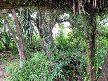 land_lot em dos Salmões, Jurerê Internacional - Florianópolis - SC
