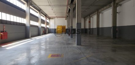 industrial em João Ranieri, Jardim Fátima - Guarulhos - SP