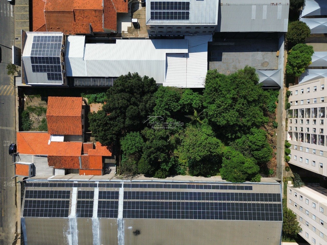 dji_fly_20240405_102730_548_1712323661291_photo_optimized