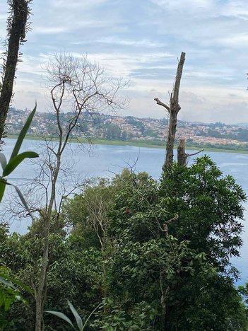 land_lot em Rua Platanales, Riviera Paulista - São Paulo - SP